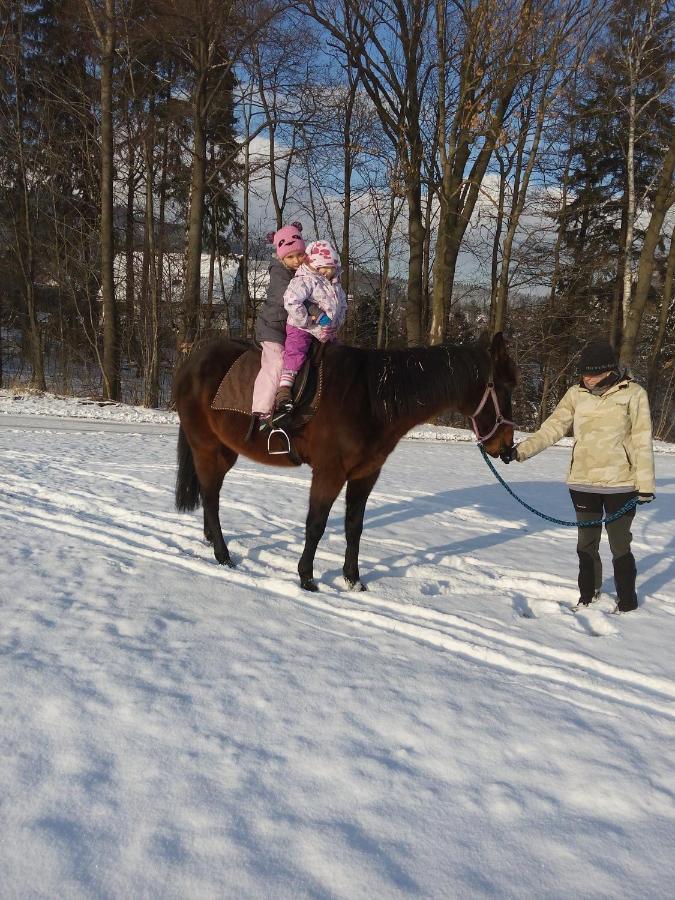 فيلا U Ponocneho Pod Ondrejnikem Frýdlant nad Ostravicí المظهر الخارجي الصورة